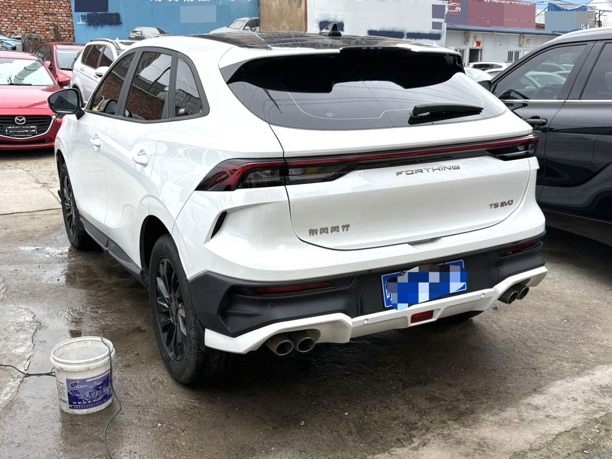 2024 Forthing T5 EVO kuangBiao Platinum Edition photo 2