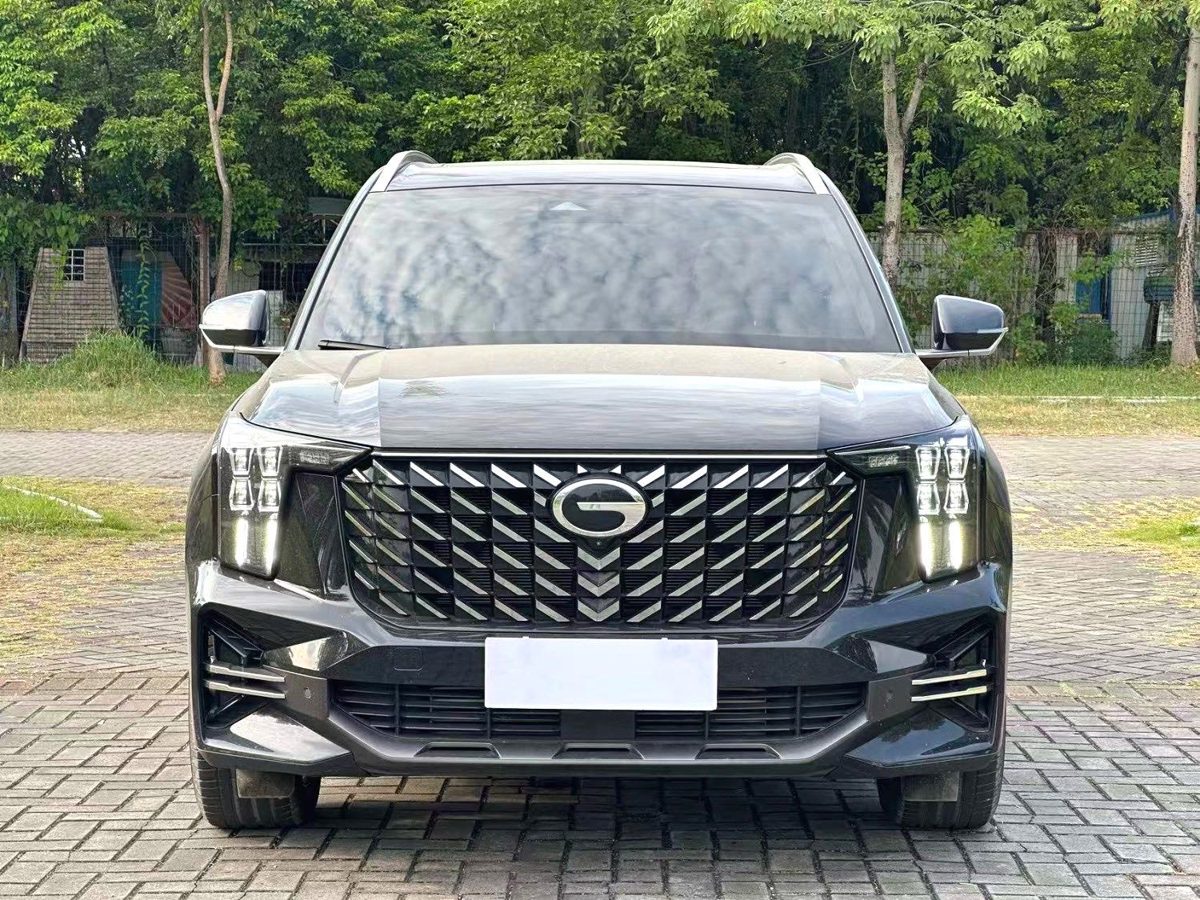 2025 GS8 2.0TGDI Pilot 2WD Luxury Edition 5Seat photo 2