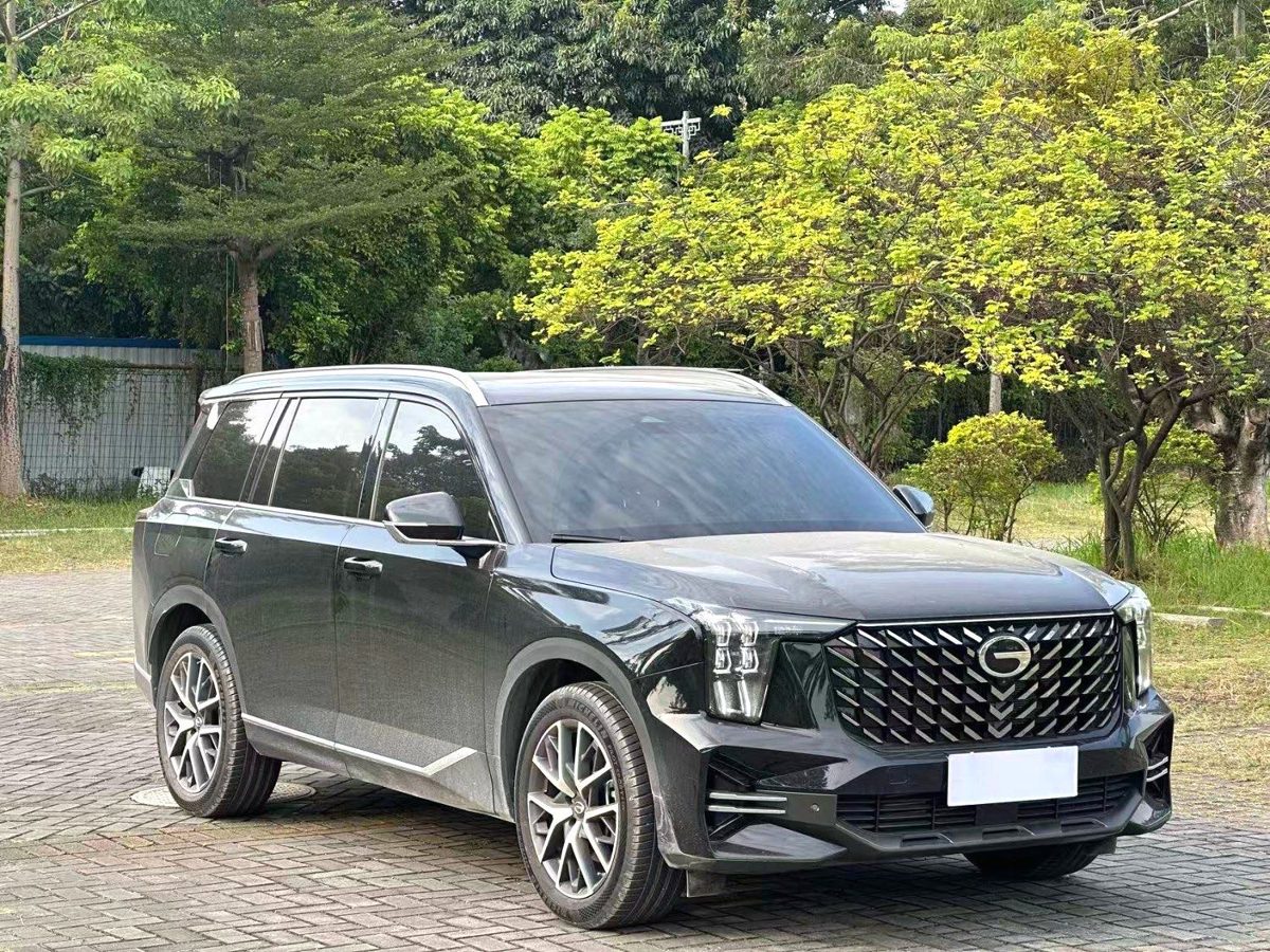 2025 GS8 2.0TGDI Pilot 2WD Luxury Edition 5Seat photo 3