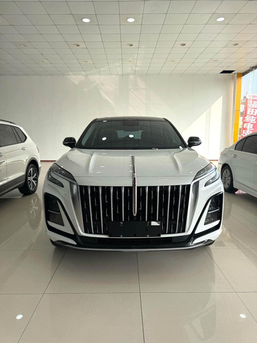 2024 HongQi HS3 YongWei Version photo 2