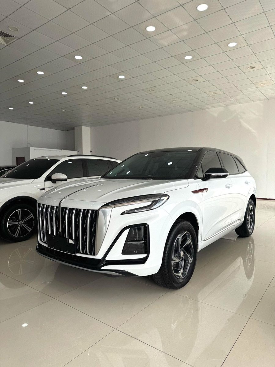 2024 HongQi HS3 YongWei Version photo 4