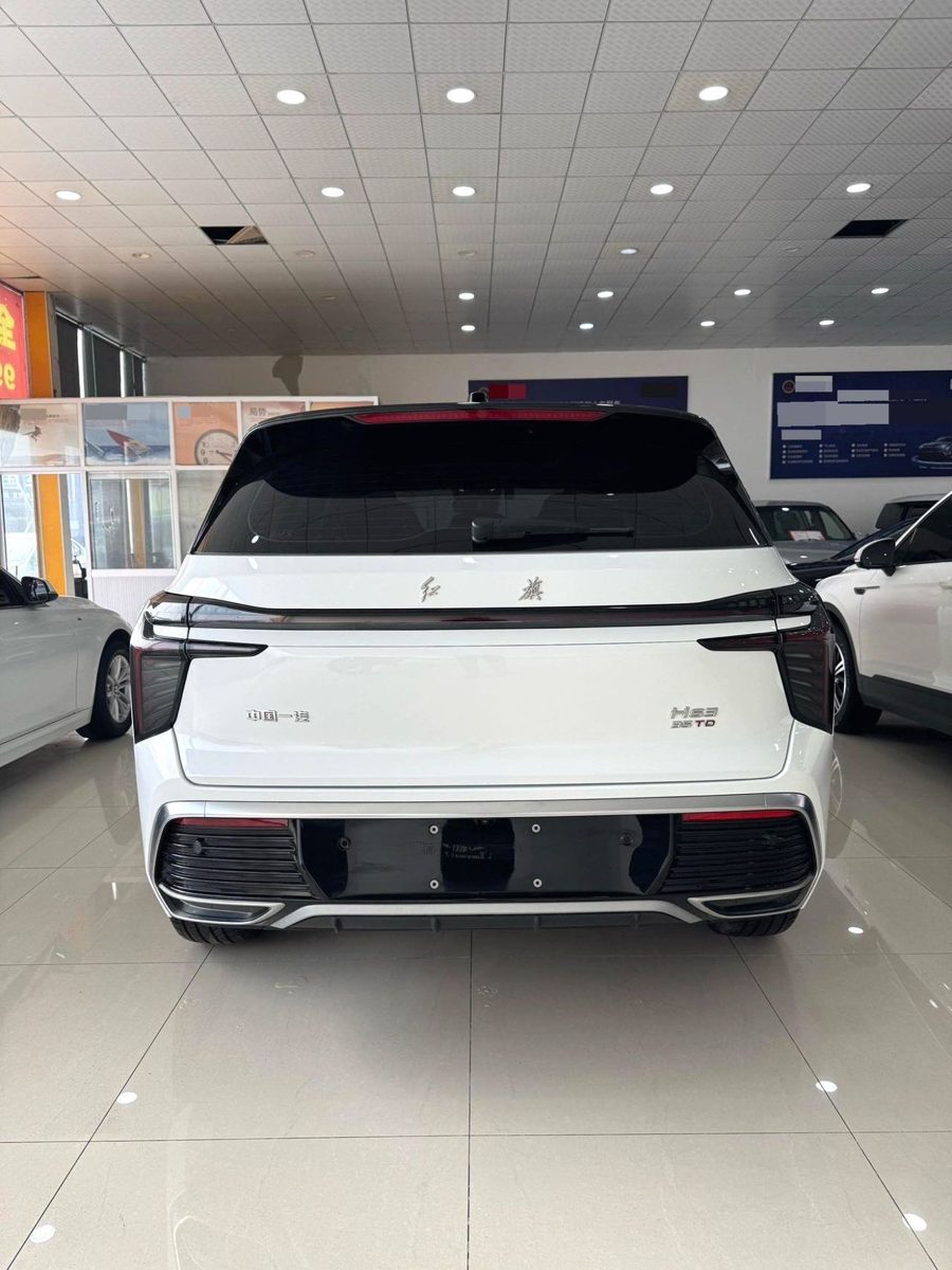 2024 HongQi HS3 YongWei Version photo 6