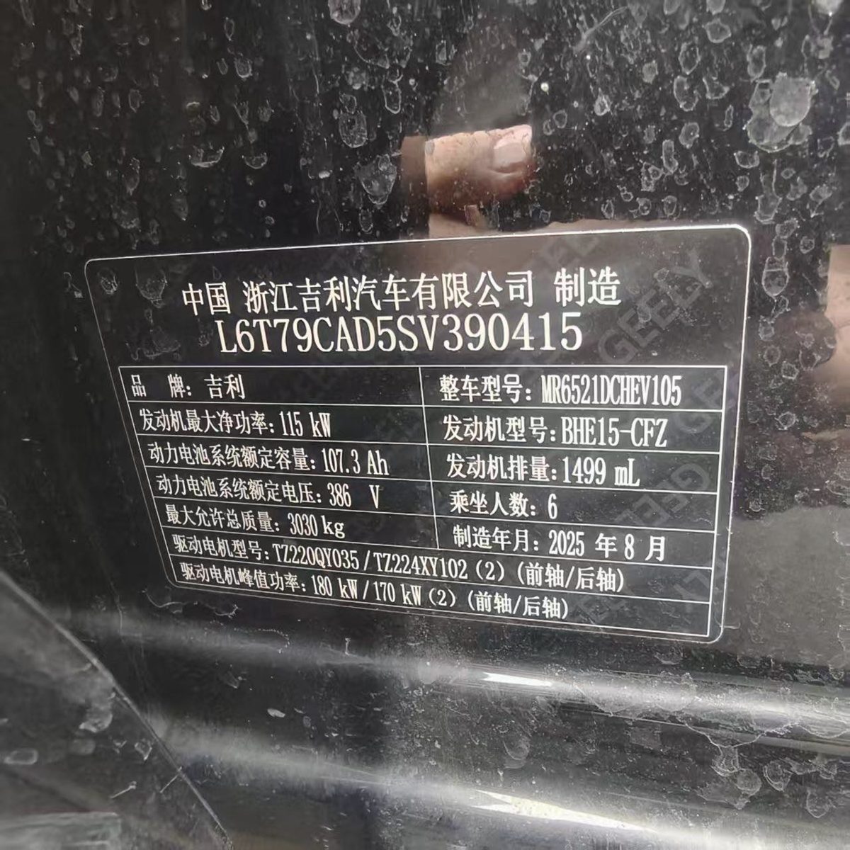 Nameplate and VIN plate of Geely Galaxy M9 2025 Geely