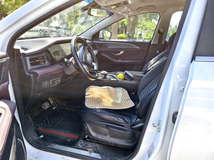 2024 Jetour x90plus Family Happy 7 seats photo 2