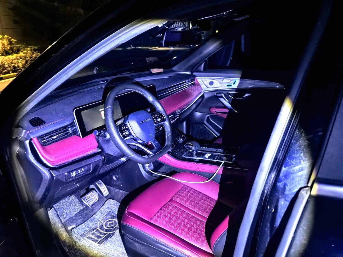 2024 Jetour X70Pro YueEnjoy Edition 5 seats photo 5