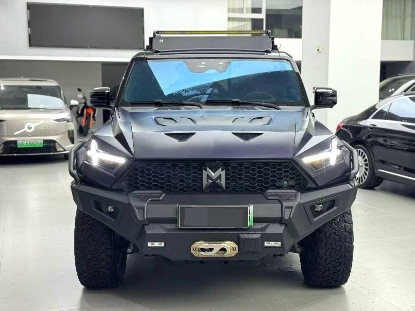 2025 MHero 917 Extend Range Electric gaodi lion edition photo 2
