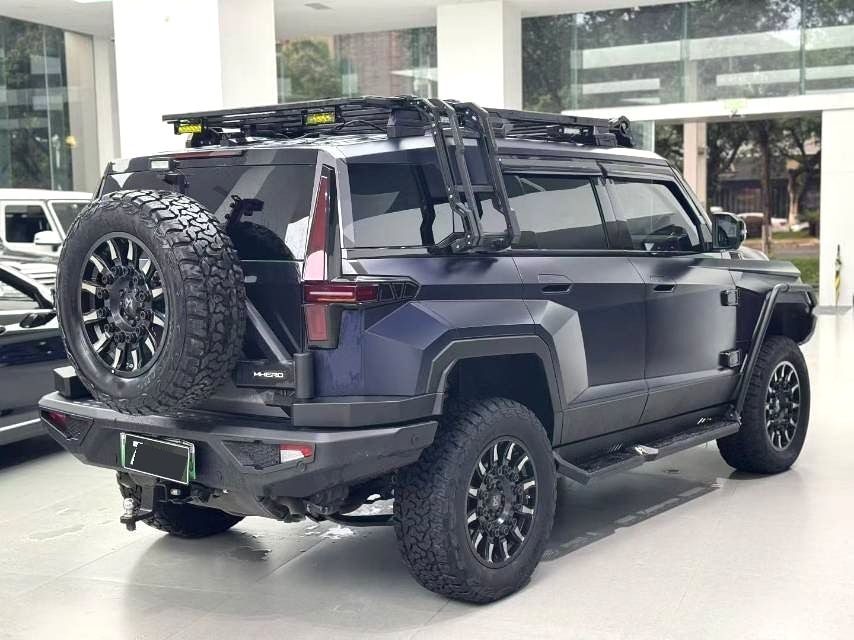2025 MHero 917 Extend Range Electric gaodi lion edition photo 5