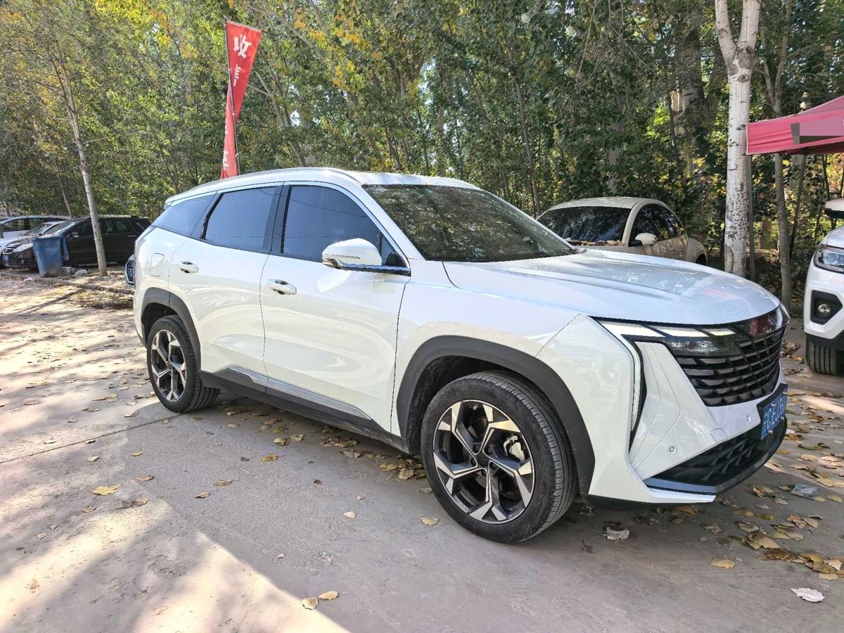 2024 Geely BoyueL Premium Edition photo 2