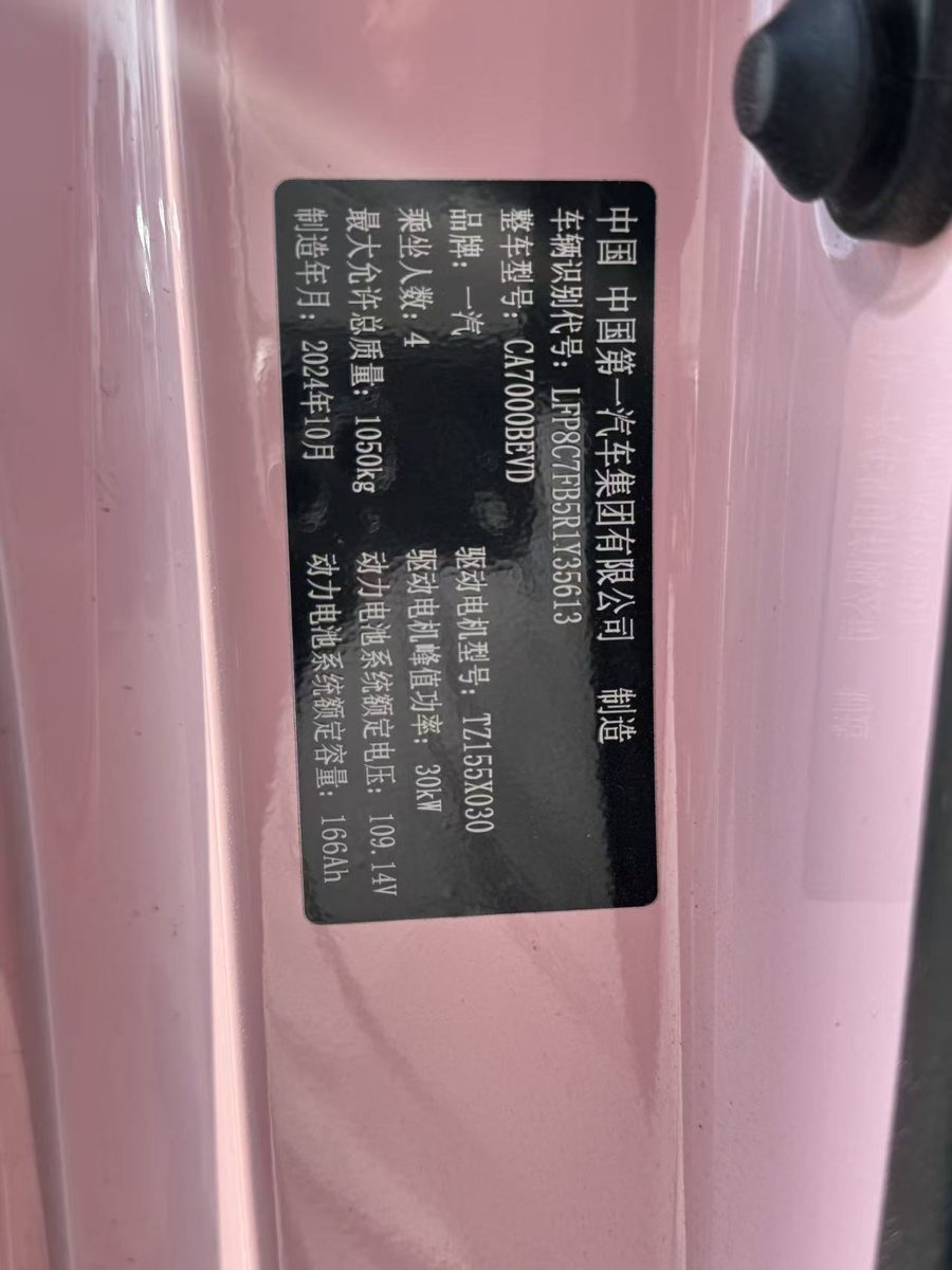 Nameplate and VIN plate of 2025 Bestune Small Horse 222km LingDong Horse