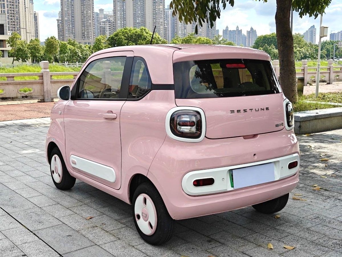 2025 Bestune Small Horse 222km LingDong Horse photo 5