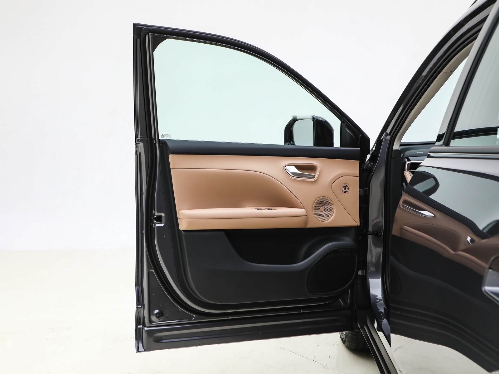 GS4 interior door panel