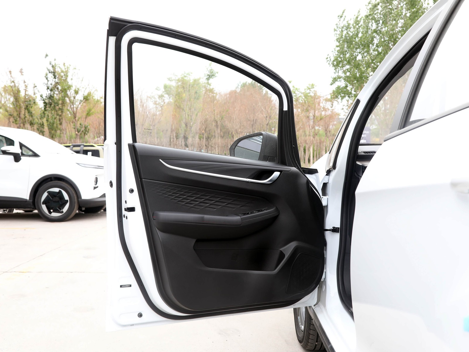 X3 PRO interior door panel