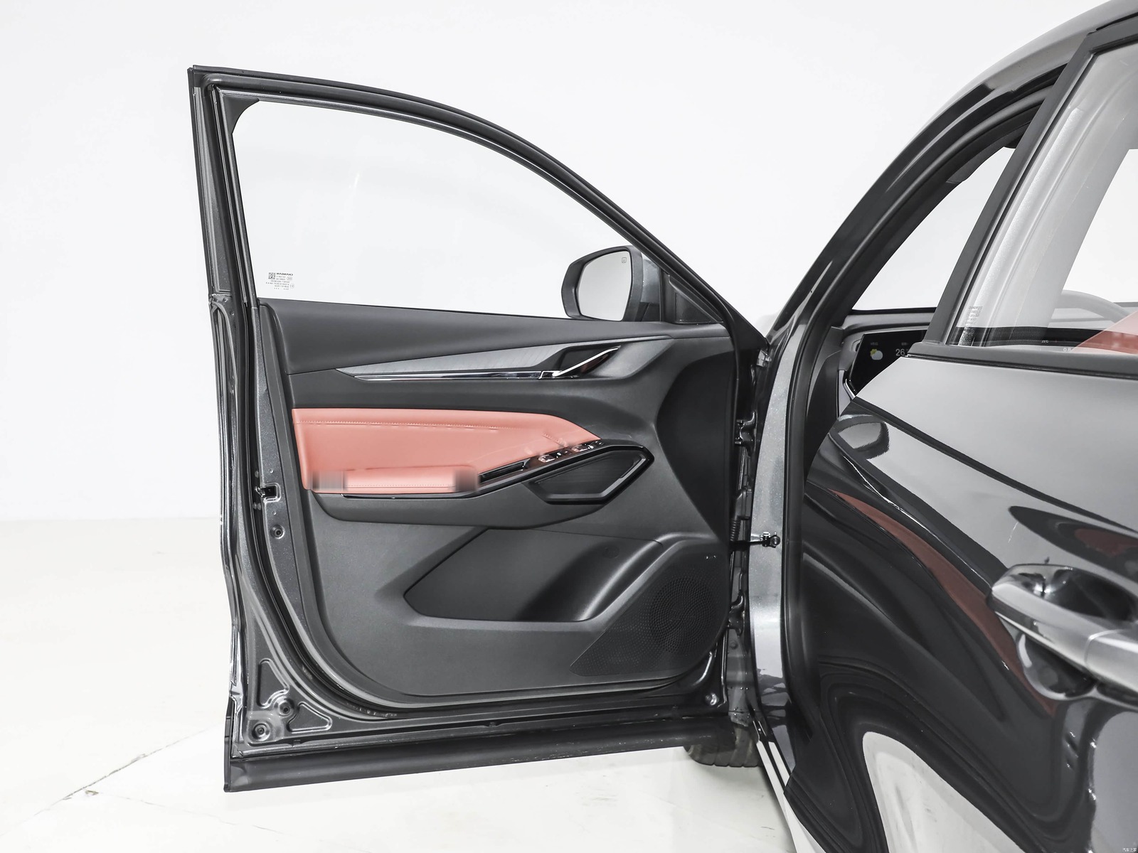 X5 PLUS interior door panel